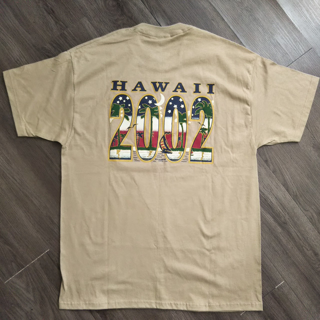 HAWAII HANES Tシャツ Lサイズ HEAVYWEIGHT ベージュ系 クルーネック 丸首 2002 ハワイ ヘインズ メンズ ヘビーウェイト 未使用に近い