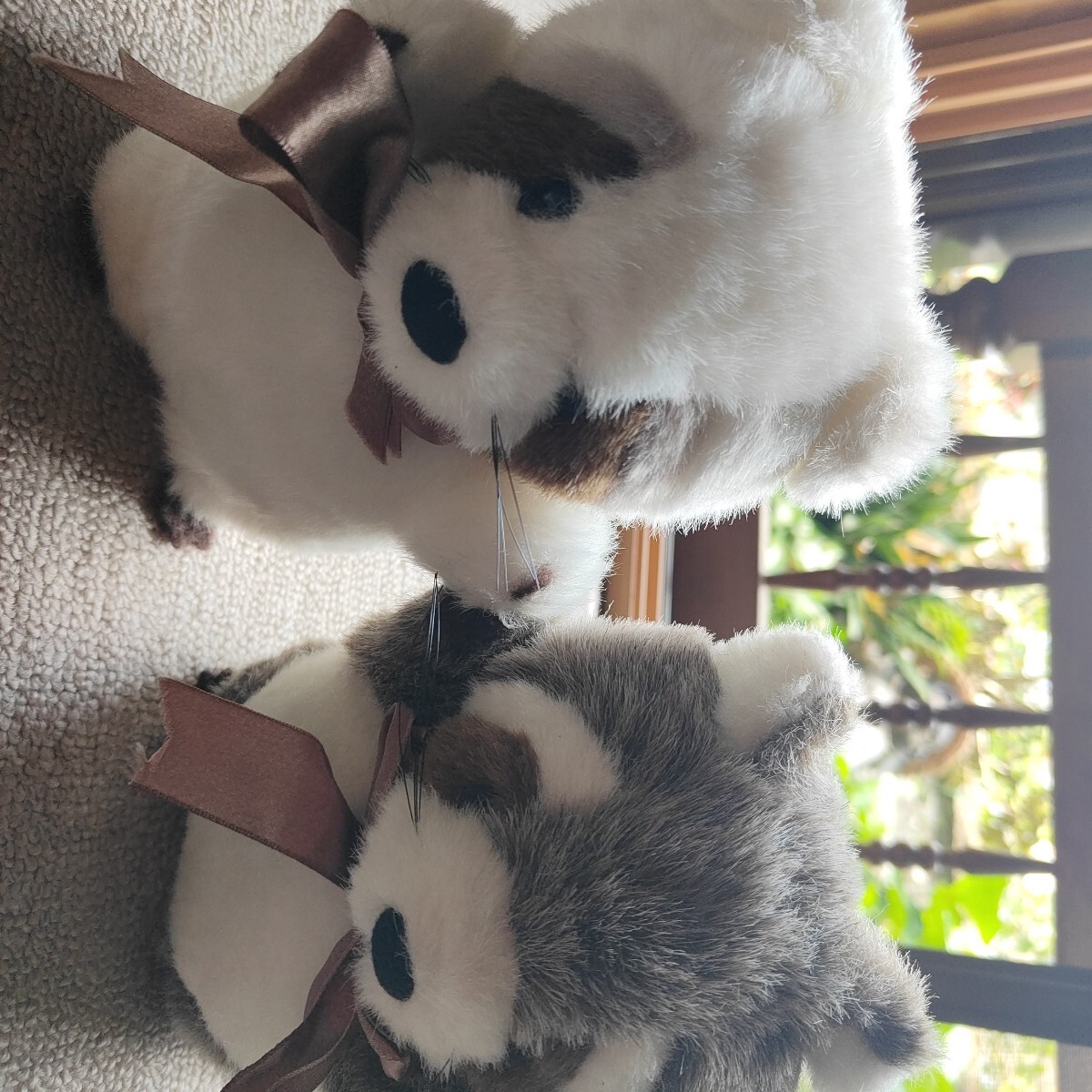 レッサーパンダ ぬいぐるみ2個まとめて マスコット