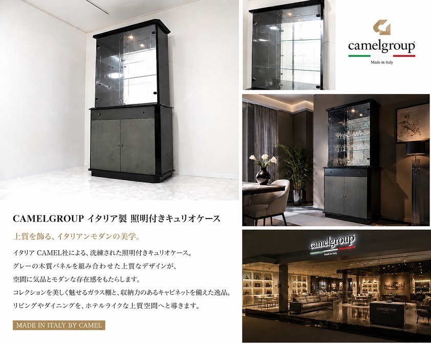 イタリア製 CAMELGROUP キャメルグループ　照明付きキュリオケース 　ガラスキャビネット 飾り棚 コレクションケース モダン