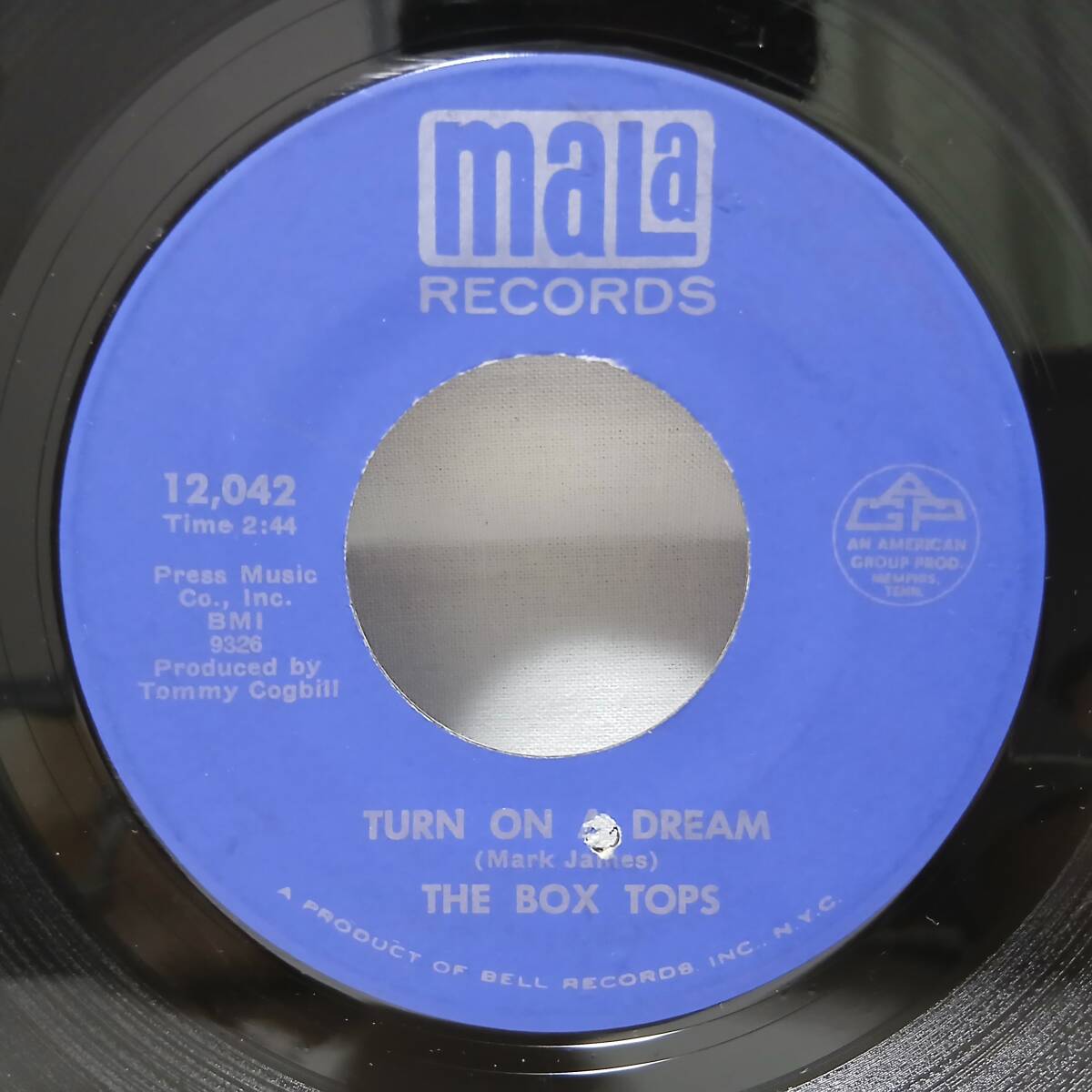 ▲米シングル▼THE BOX TOPS▲TURN ON A DREAM▼