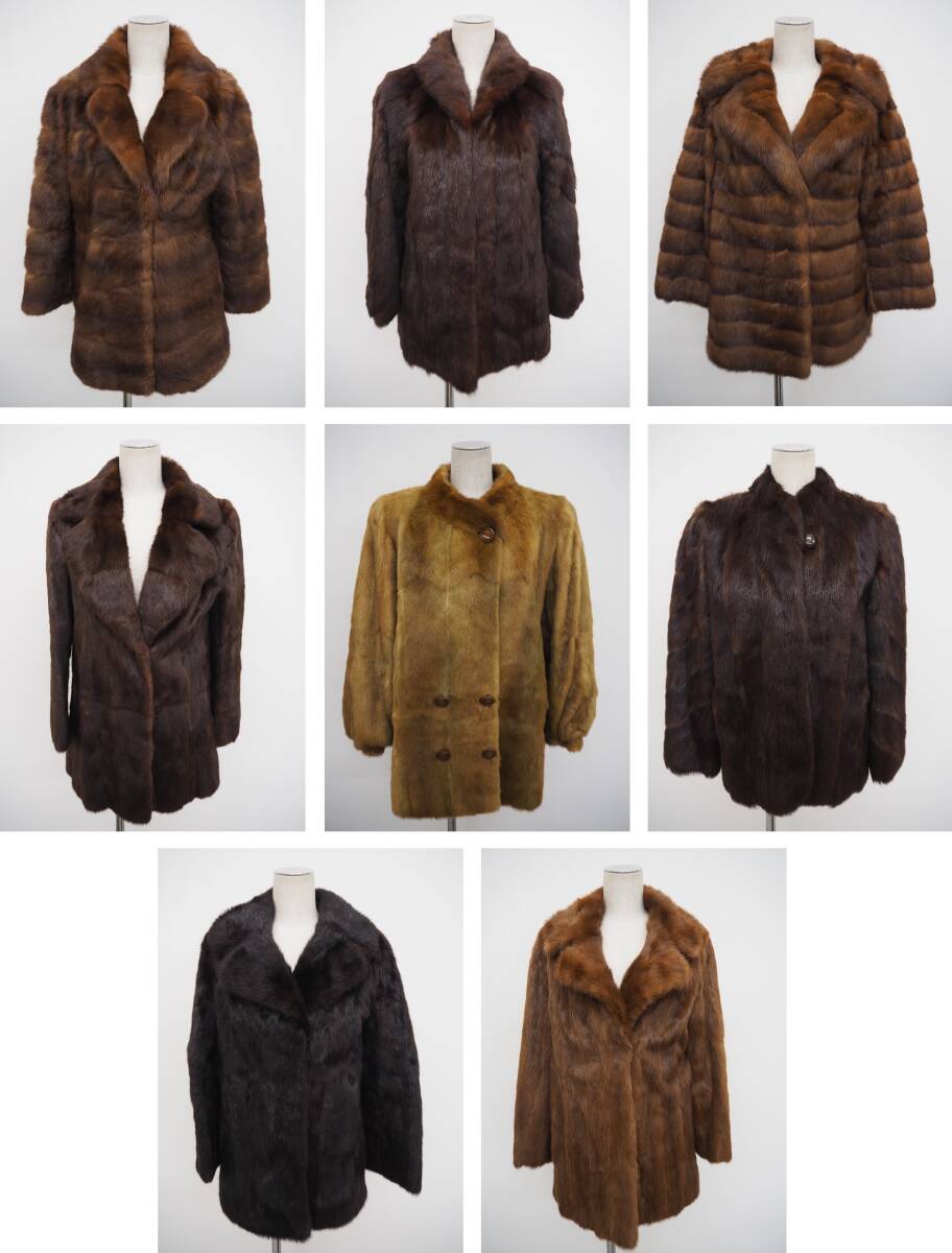 ■ウィーゼル■ハーフ■まとめ8枚セット■在庫処分品■同梱不可■