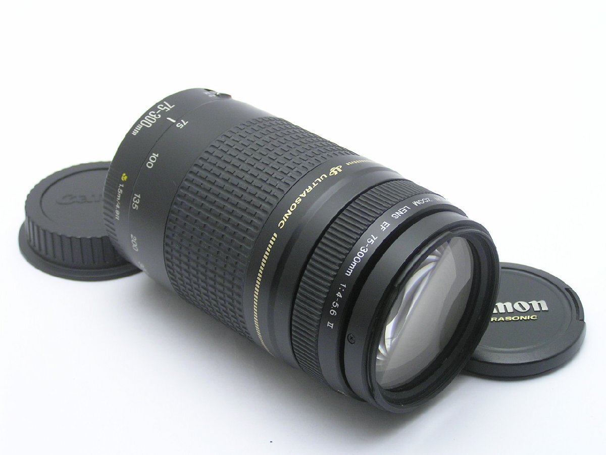 1円★ハローカメラ★2028 キャノン CANON ZOOM LENS EF 75-300mm 1:4-5.6 II No.8205393B 難有り動作品 要清掃 即決あり