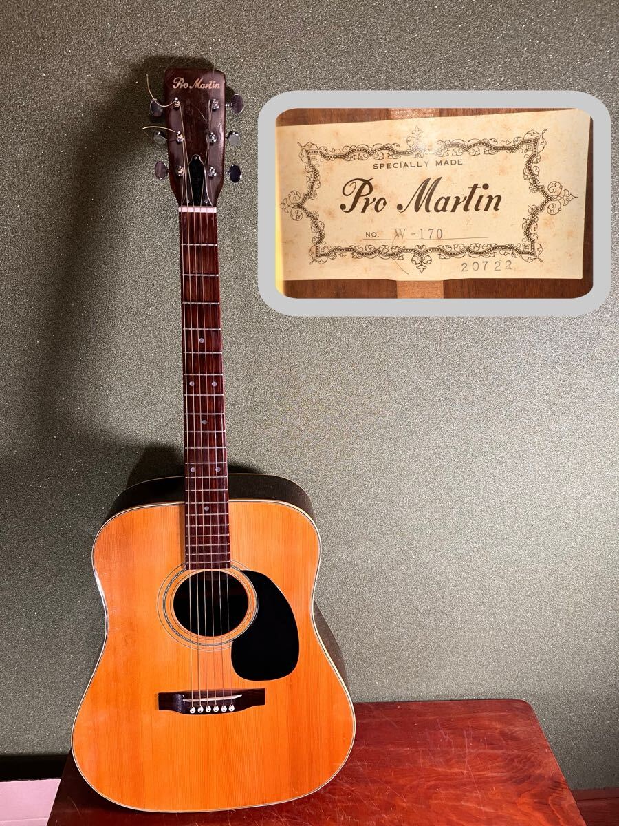 管A1059 ビンテージ Pro Martin プロマーティン W- 170 アコースティックギター 