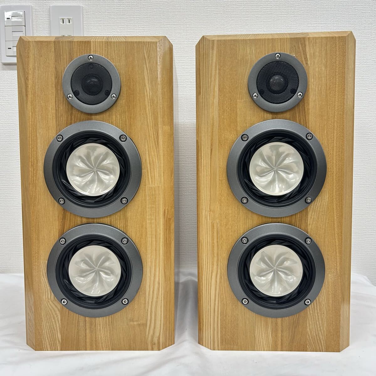 Fostex フォステクス 自作スピーカー ペア FT200D使用 動作品 