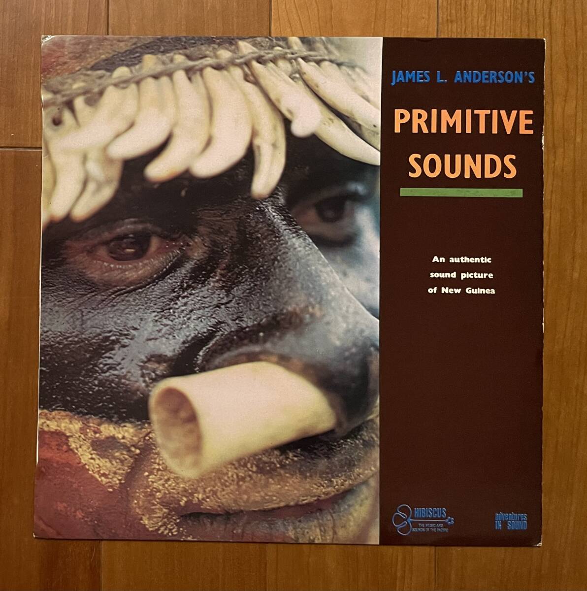 LP NZ盤 PRIMITIVE SOUND An authentic sound picture of New Guinea / James L. Anderson's フィールド・レコーディング 民族 良盤 