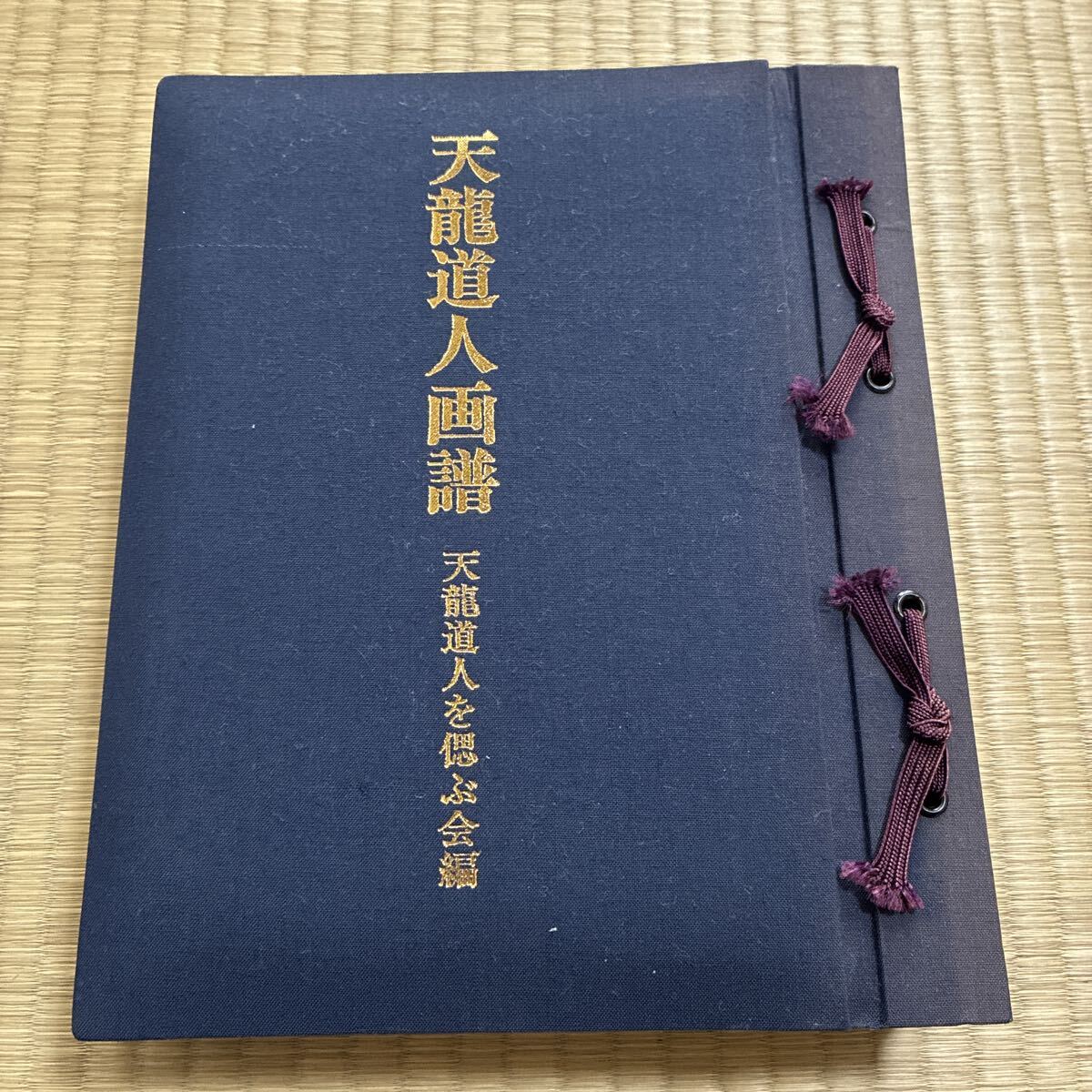 天龍道人画譜　天龍道人を偲ぶ会編　甲陽書房刊 古書 画録