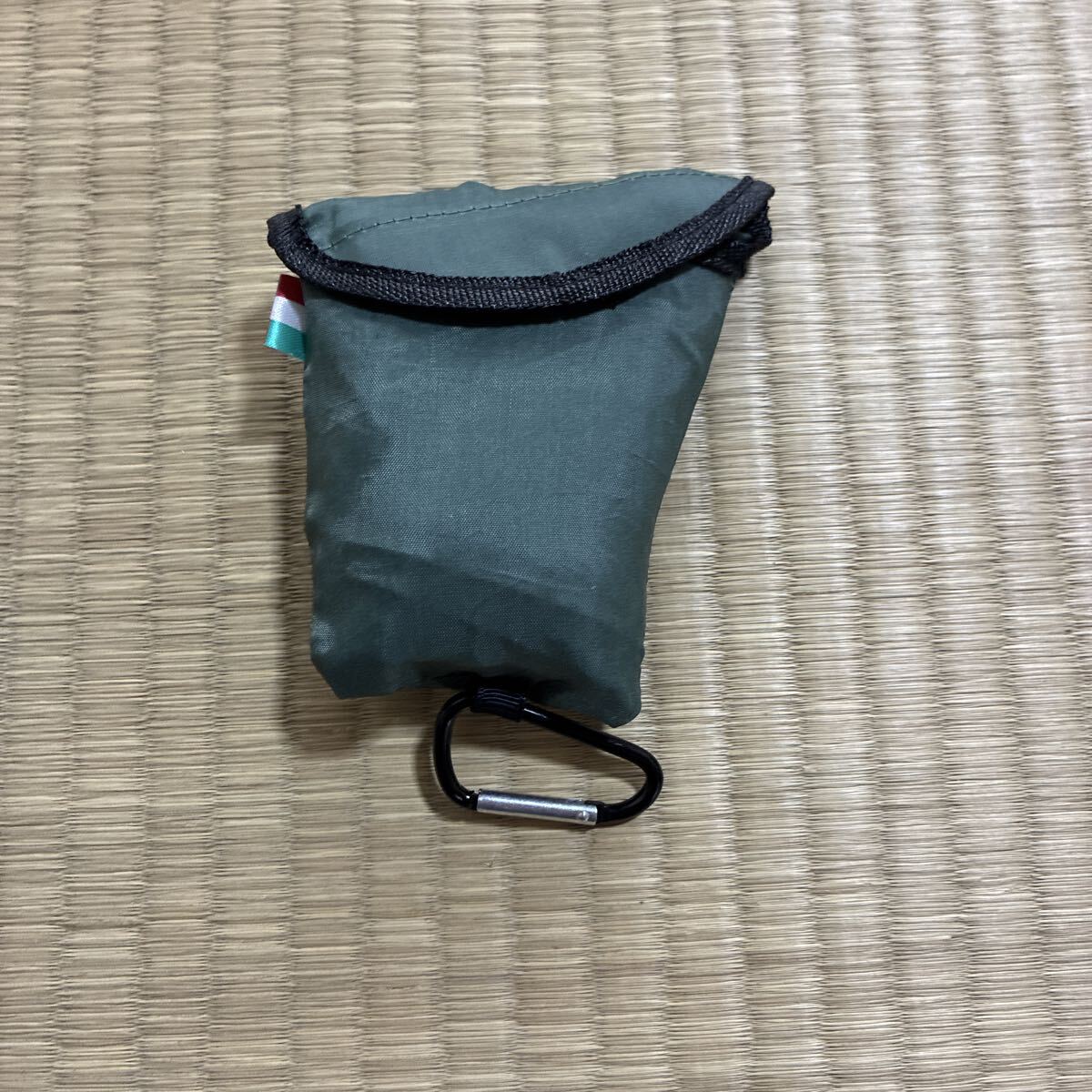 フランク　ロッシーニ　エコバッグ グリーン ロゴあり 