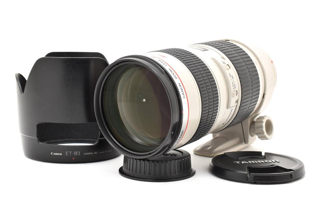  Canon キヤノン EF 70-200mm F2.8L USM 大三元 大口径 望遠ズームレンズ (5545)