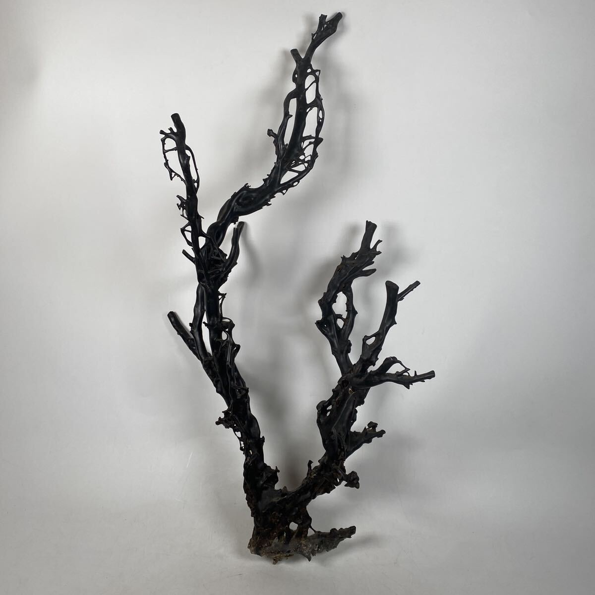 希少　珍品　海松　黒珊瑚　深海松　珊瑚　サンゴ　コーラル　枝　天然　根付　骨董品　古美術品　全長92cm 横50cm【511】