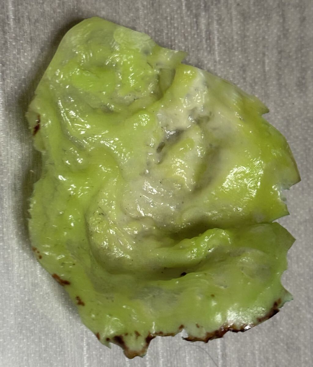 食品サンプル　野菜