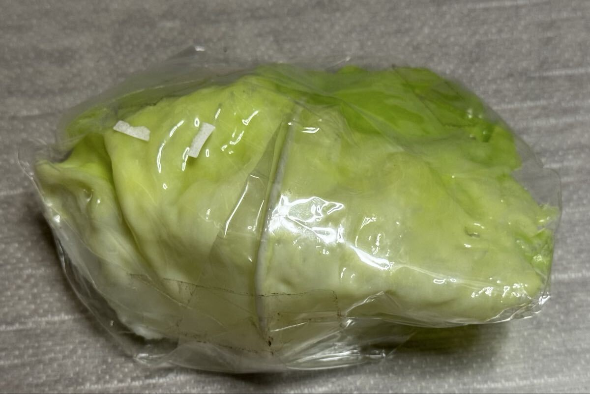 食品サンプル　レタス 新鮮野菜