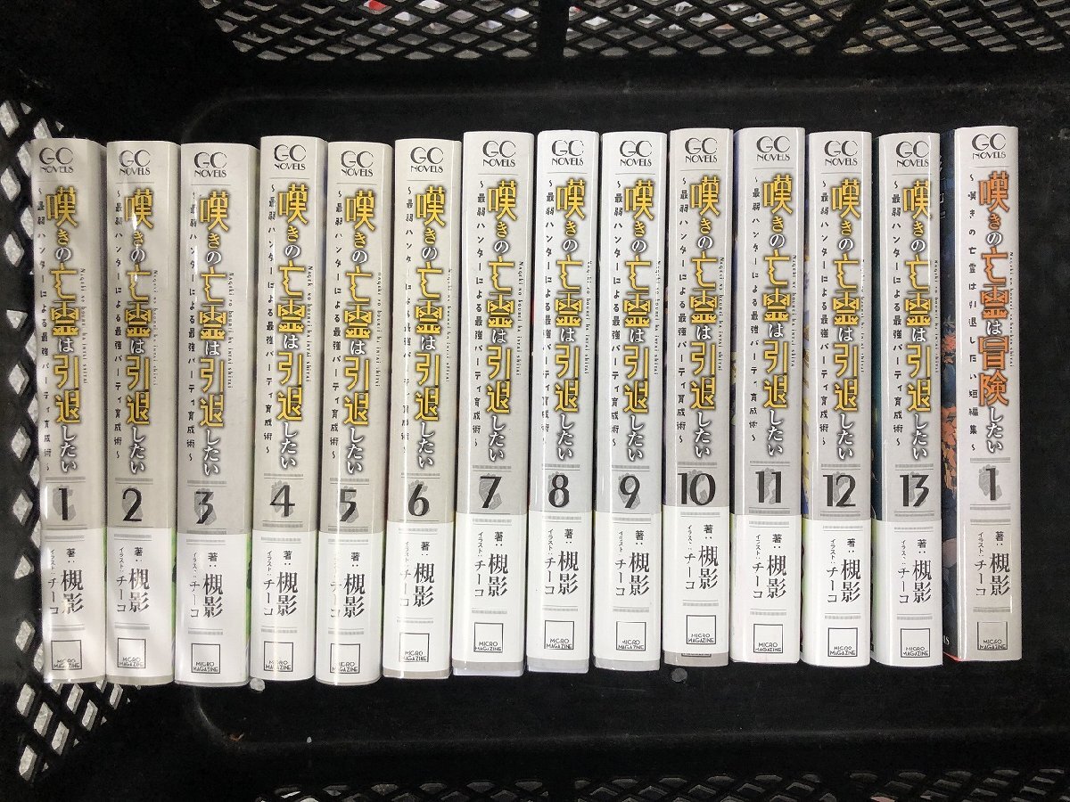 hi 嘆きの亡霊は引退したい 最弱ハンターによる最強パーティ育成術 セット ライトノベル ラノベ hi◇9