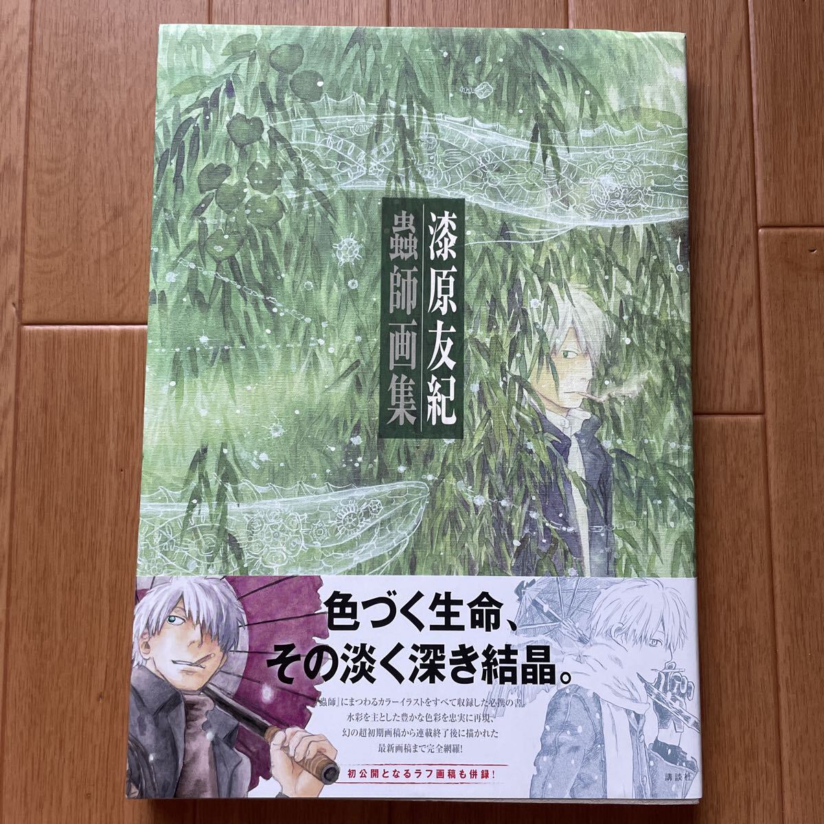 漆原友紀 蟲師 画集