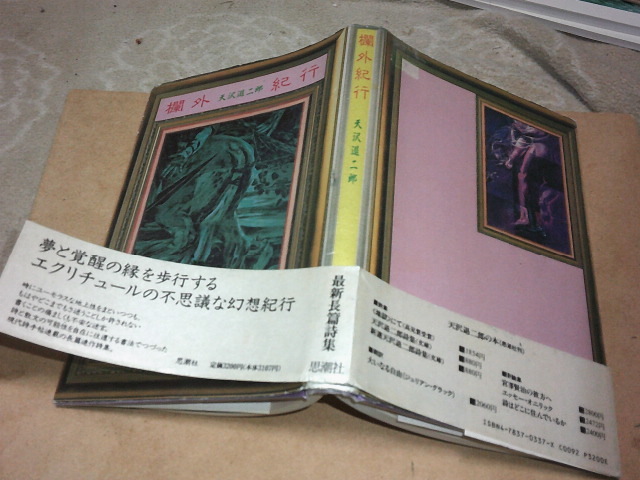 欄外紀行　天沢退二郎(思潮社1991年)送料360円　最新長篇詩集　注！