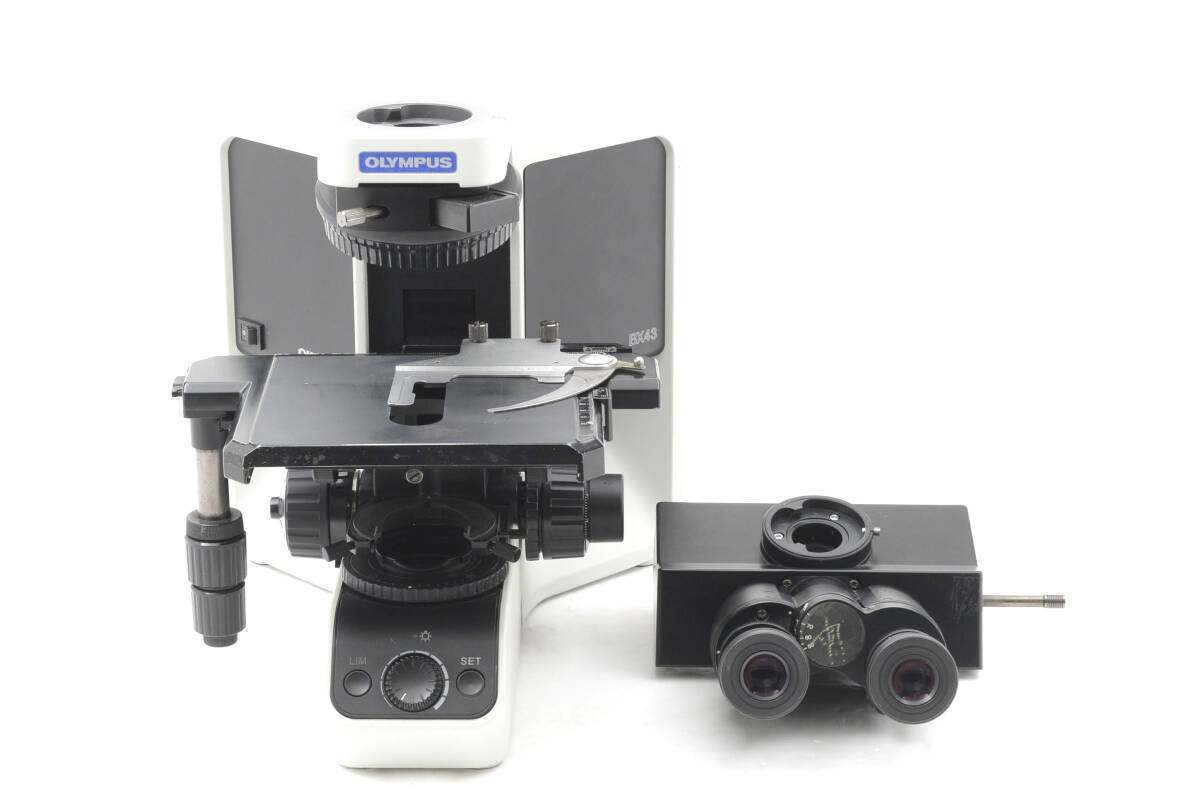 OLYMPUS オリンパス 顕微鏡 MODEL BX43F 接眼レンズ付 j0402