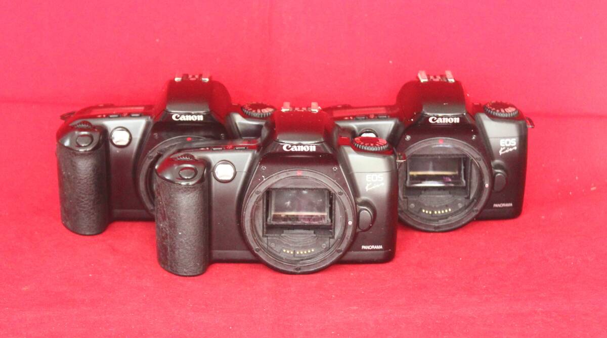 Canon EOS Kiss PANORAMA ボディ 3台セット シャッターOK有 EFマウント ジャンク まとめ売り