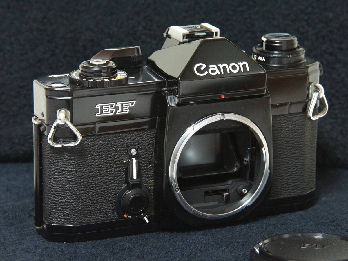 Canon EF カメラボディ【Operation Confirmed ・動作確認済】