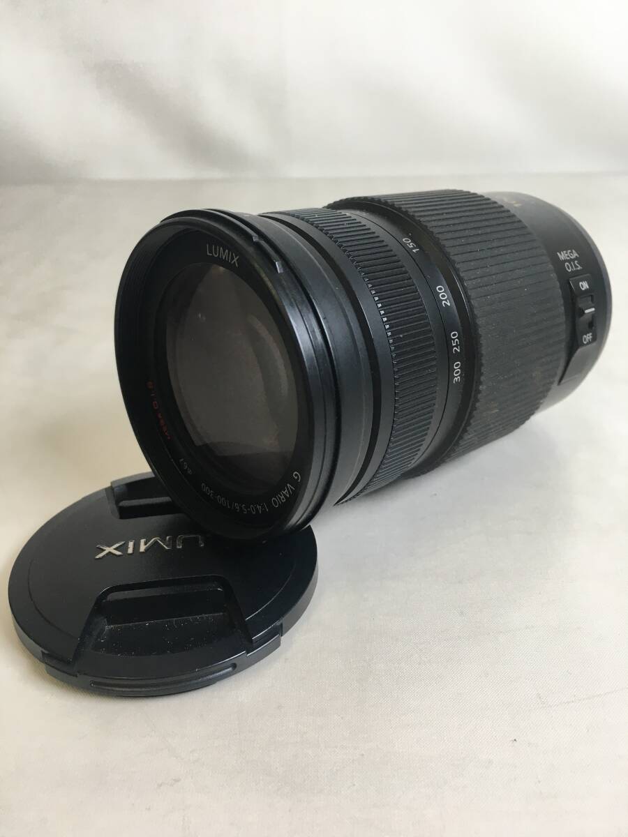 f-664 Panasonic パナソニック LUMIX G VARIO 100-300mm F4.0-5.6 MEGA O.I.S.