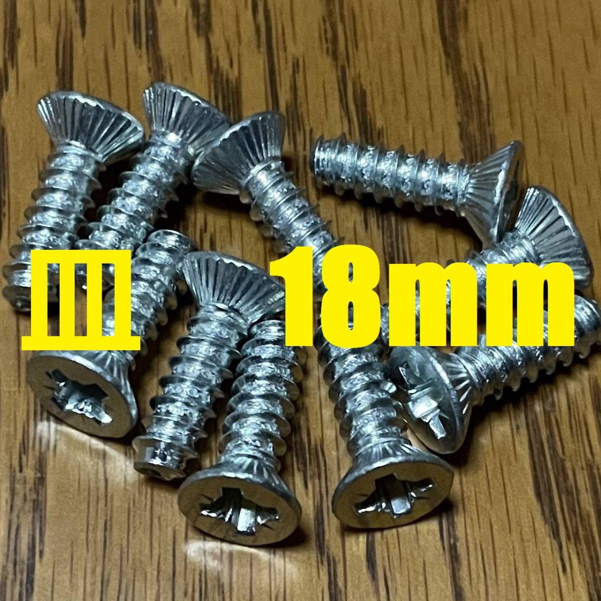 スキービンディング専用ネジ　5.5×18mm　ポジドライブ　10本　追加可能 【auction by polvere_di_neve】PZ3 ロングビス ボルト リフター