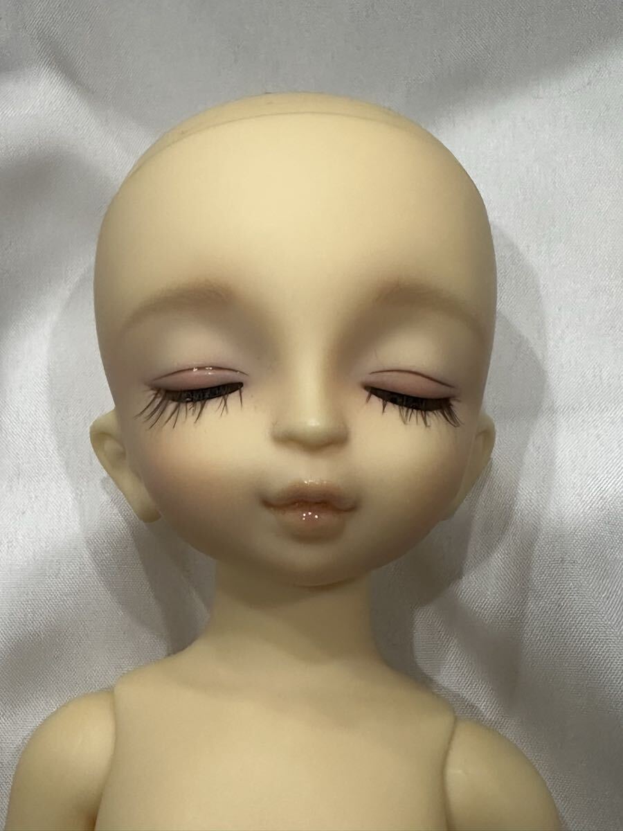 幼SD ホワイト ラビット　 ボークス　 スーパードルフィー