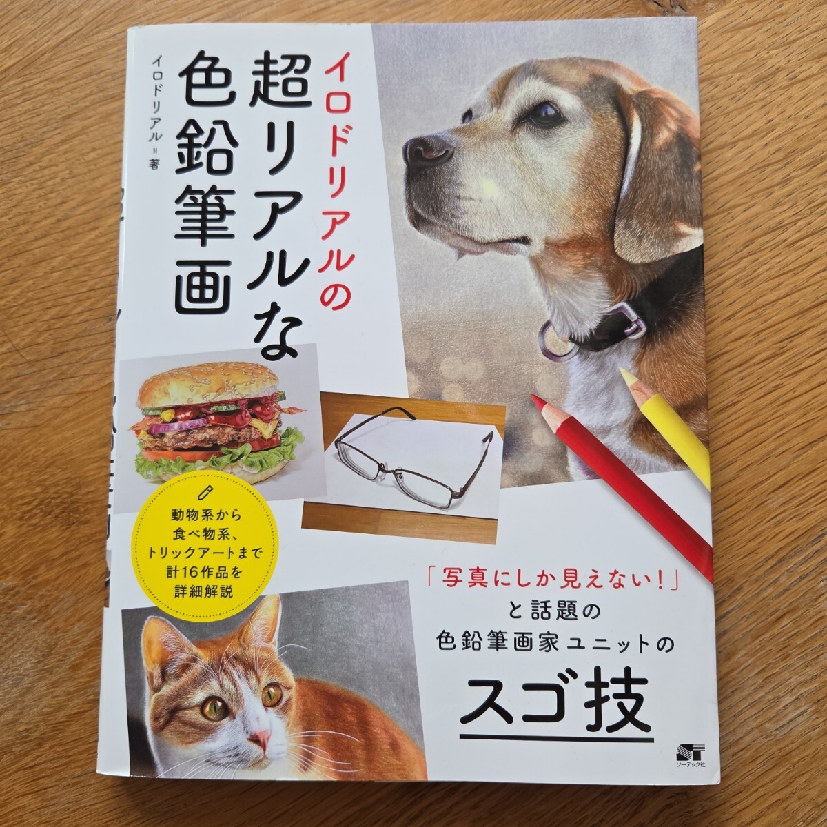 イロドリアルの超リアルな色鉛筆画 長靴をはいた猫 音海はる みやかわ ぼんぼん