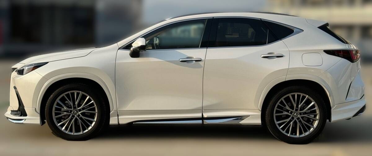 新品 レクサス NX 20 カラード フェンダー アーチ モール 1台分(6点セット) LEXUS NX250,NX350,NX450 ディーラーOP 白 黒 その他 各色あり