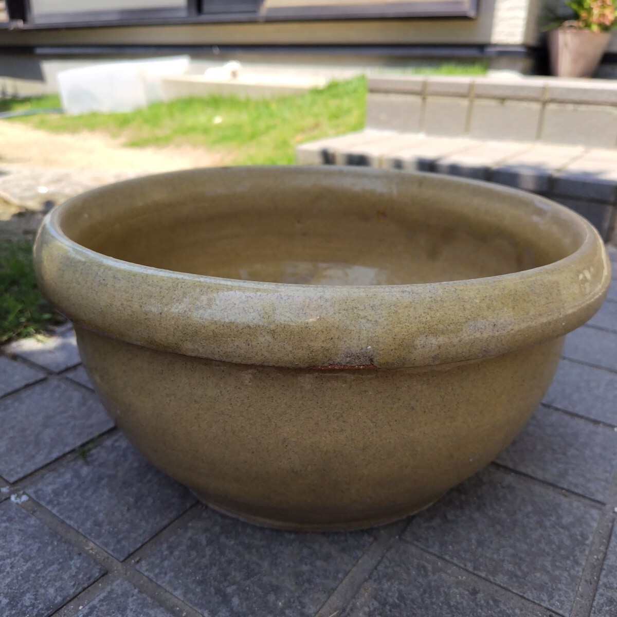 睡蓮鉢 メダカ鉢 陶器製