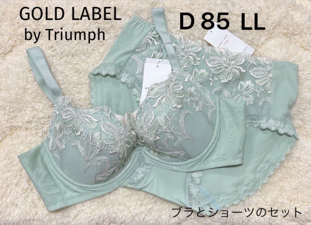 D85 LLサイズ　トリンプ ゴールドレーベル Triumph ブラジャー ショーツ　PREMIUM 上下セット　グリーン