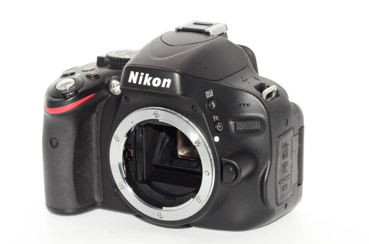 【外観特上級】Nikon ニコン D5100 ボディ　#v1833