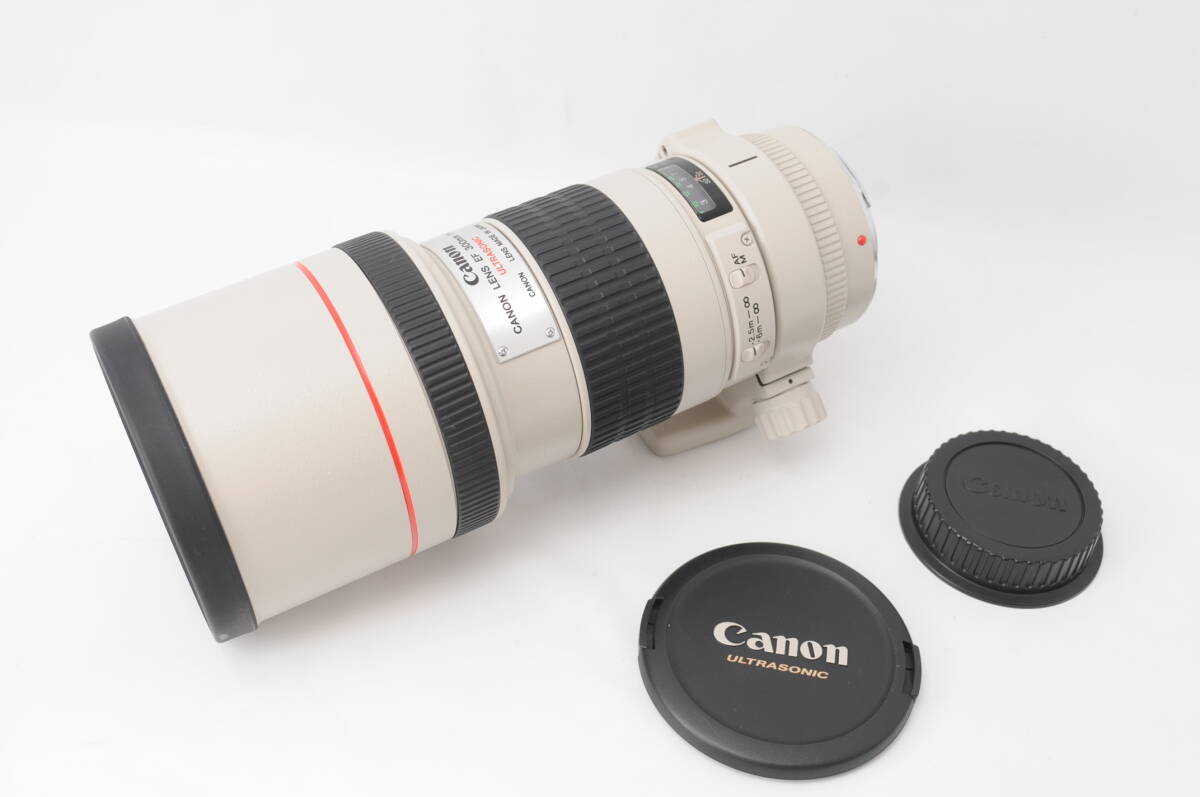 キャノン Canon EF 300mm f4 L USM ULTRASONIC AF Telephoto Lens #21