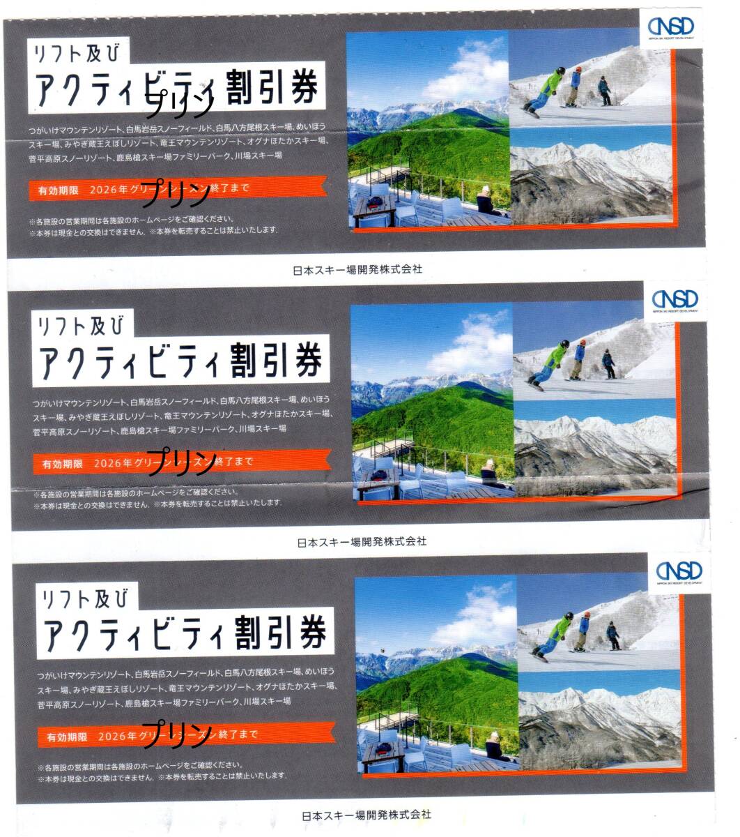 最新 日本駐車場開発 株主優待券 アクティビティ割引券 1枚分