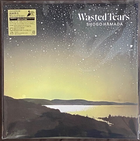 ☆浜田省吾 「WASTED TEARS」 完全生産限定盤 アナログ・レコード LP盤 新品 未使用
