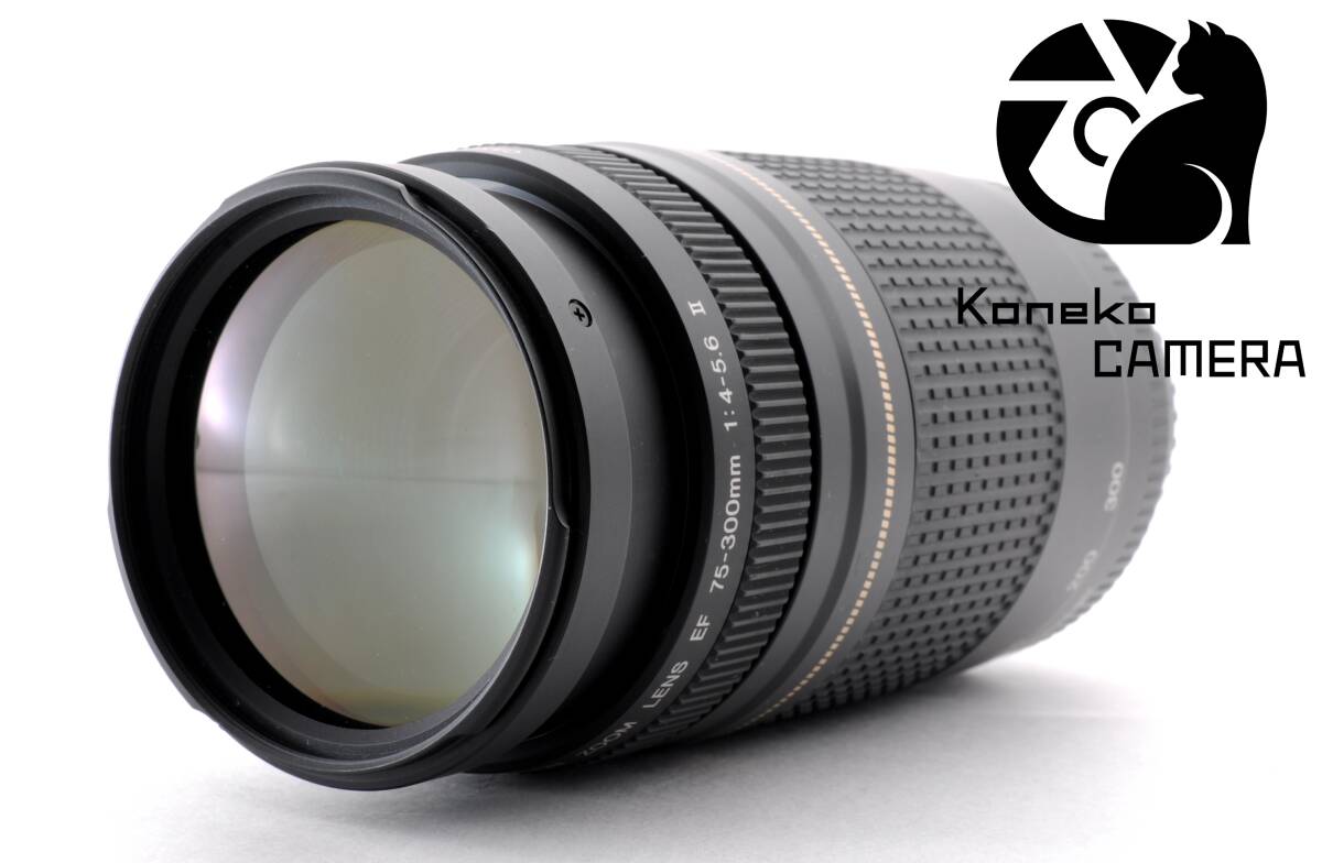 【動作品】Canon EF 75-300mm F/4-5.6 II C-1016