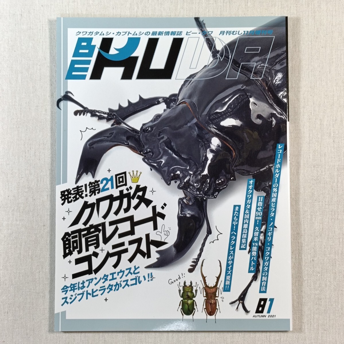 BE KUWA ／ ビー・クワ　81　2021 AUTUMN　クワガタ飼育レコードコンテスト