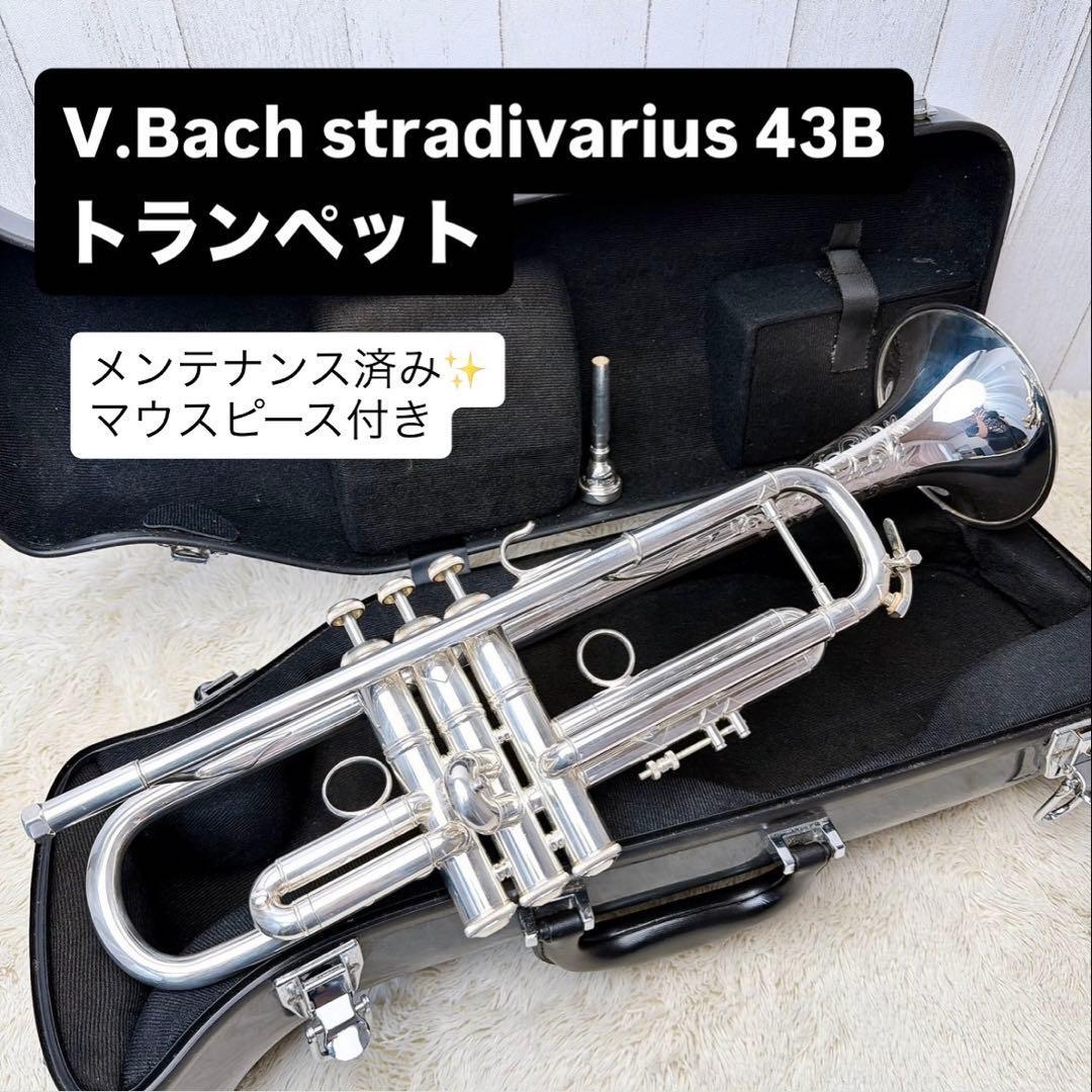 V.Bach stradivarius 43B トランペット マウスピース付き