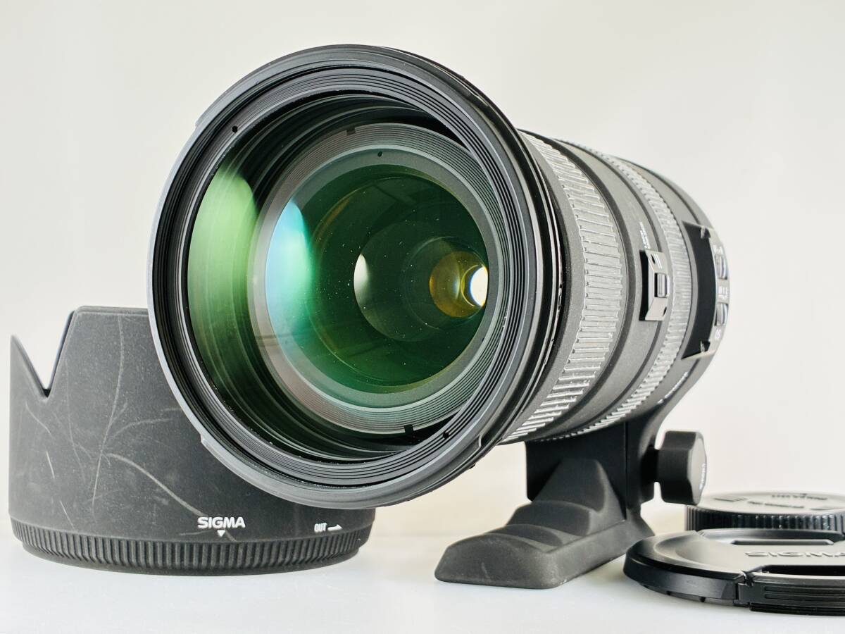 ★良品★ シグマ SIGMA DG 50-500mm F4.5-6.3 APO HSM OS キヤノン用 ★フード、前後キャップ付属！ #S0259