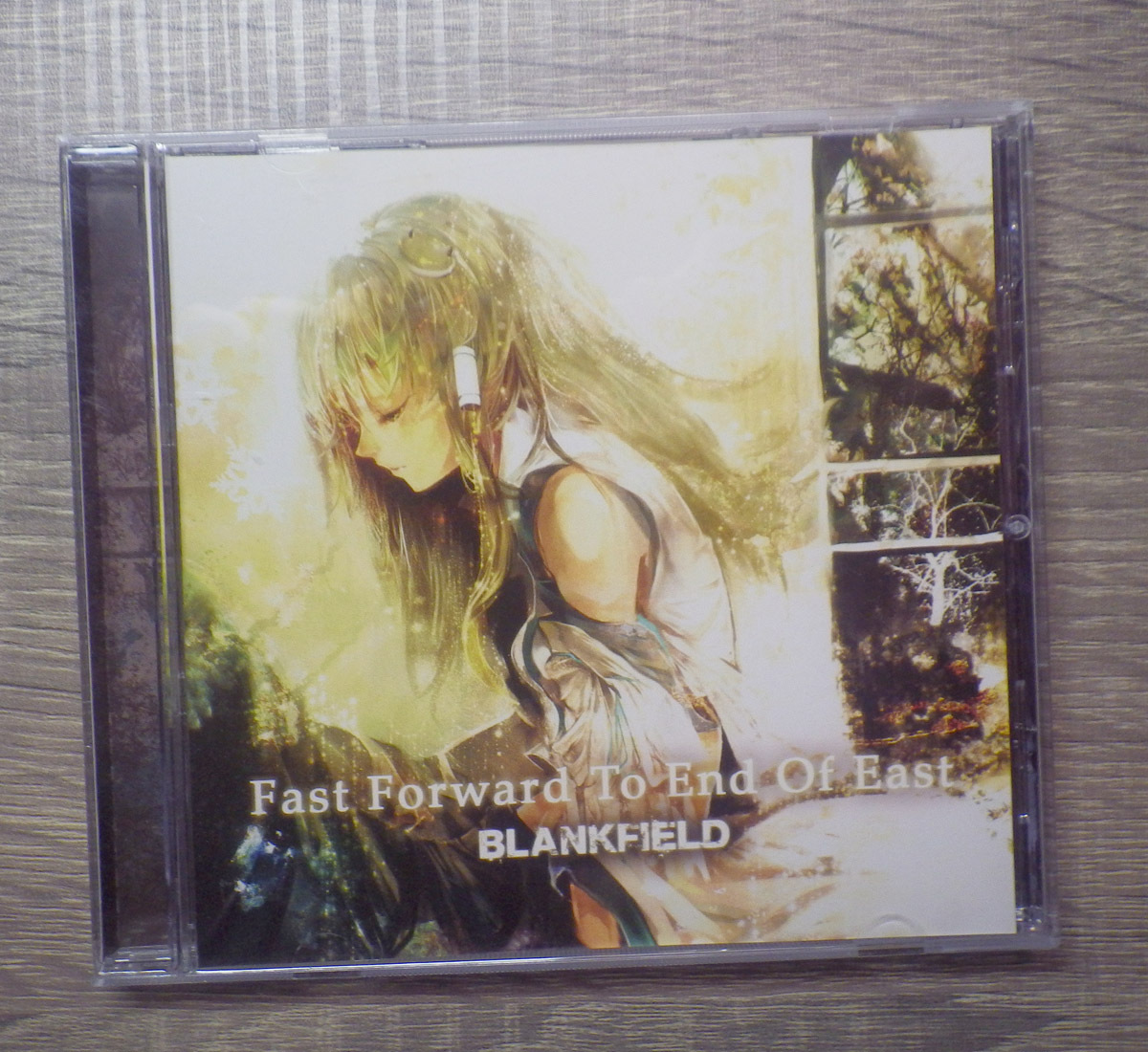 BLANKFIELD / Fast Forward To End Of East 同人音楽 同人メタル 東方アレンジ 2009年作品