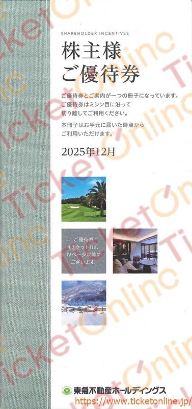 東急不動産株主優待券冊子（5,000株以上）東急ホテルハーヴェスト8枚　2026年8月末