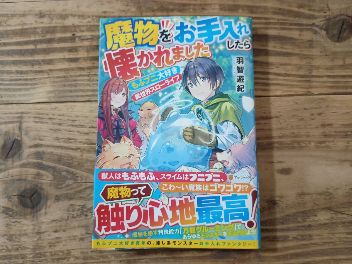 b■魔物をお手入れしたら懐かれました アルファポリス 羽智遊紀 初版 帯付