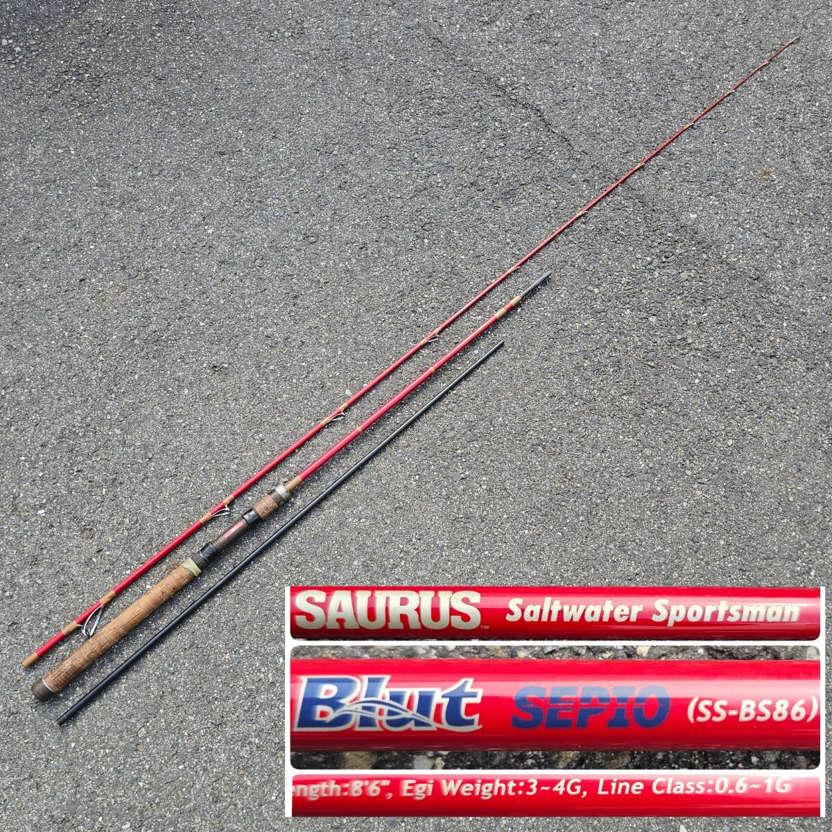 希少 SAURUS ザウルス SALTWATER SPORTSMAN エギングロッド BLUT SEPIO ブルート セピオ SS-BS86 エギング