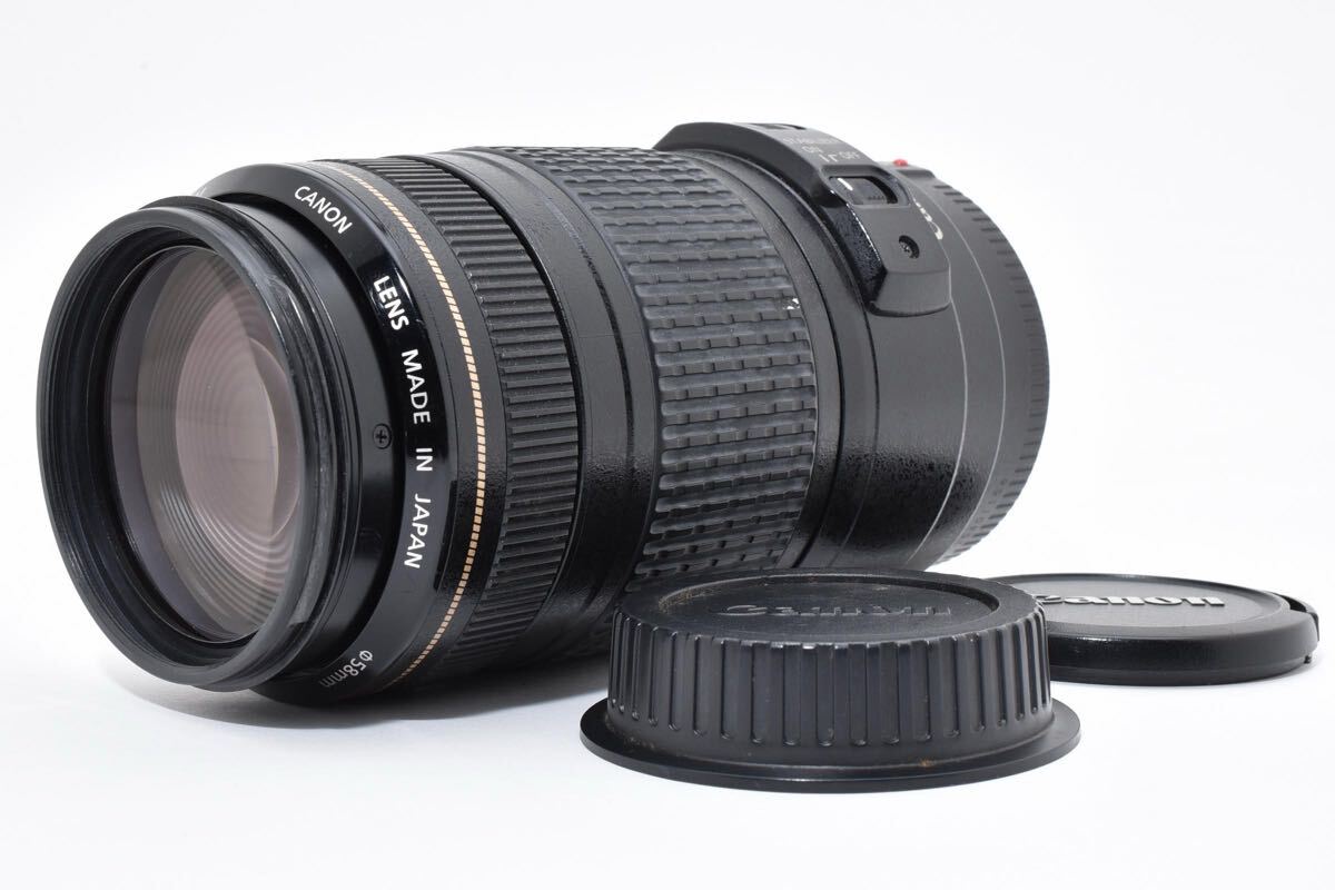 Canon EF 70-300mm F4-5.6 IS USM キャノン カメラレンズ 望遠