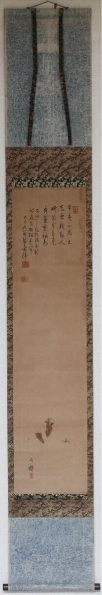 【模写】【久】1733 紙本　書法　長寿草図　（文麟） 模写 掛軸