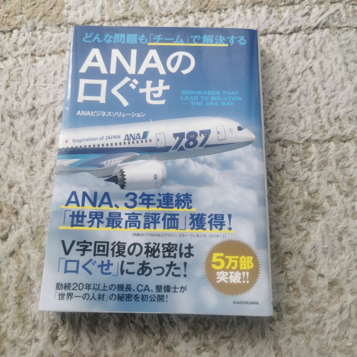 どんな問題も「チーム」で解決するＡＮＡの口ぐせ （どんな問題も「チーム」で解決する） ＡＮＡビジネスソリューション／著