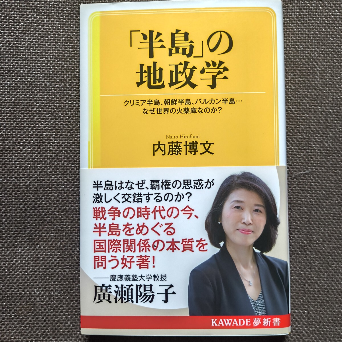 「半島」の地政学 内藤博文 KAWADE夢新書