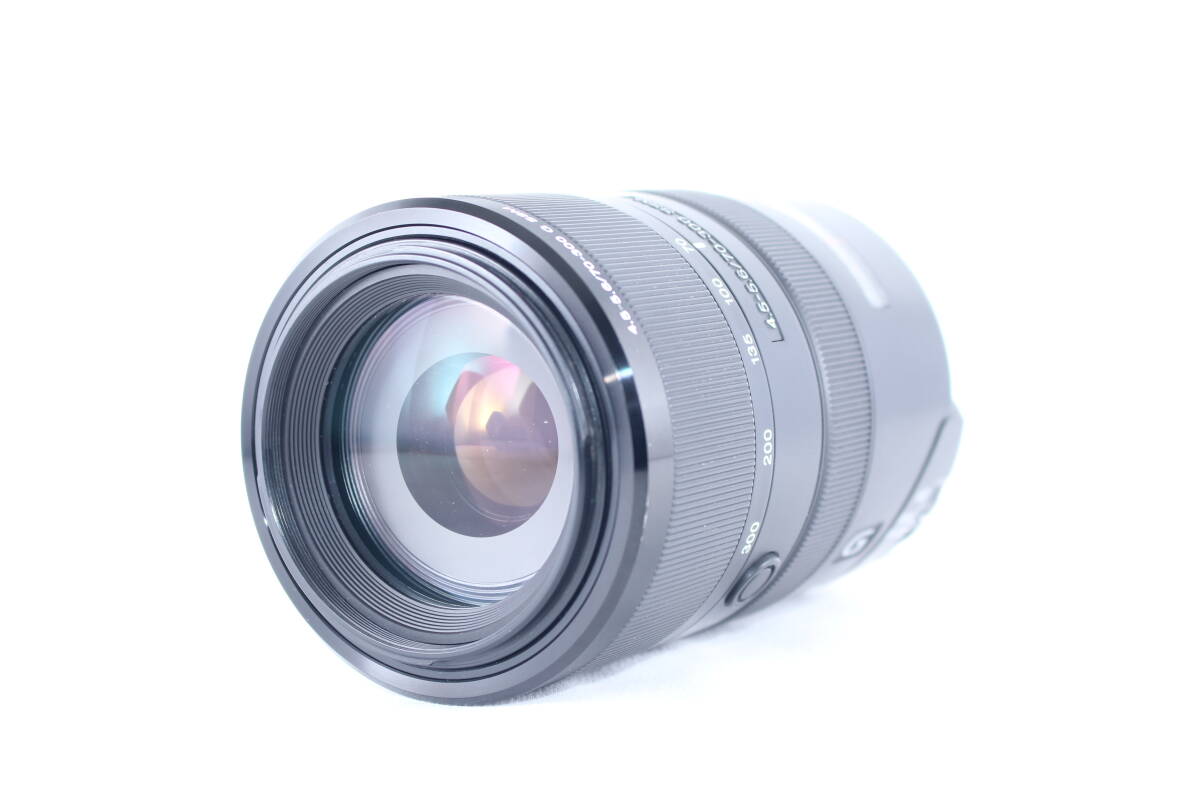 ★極上美品★ソニー SONY 70-300mm F4.5-5.6 G SSM ★完動★#E875