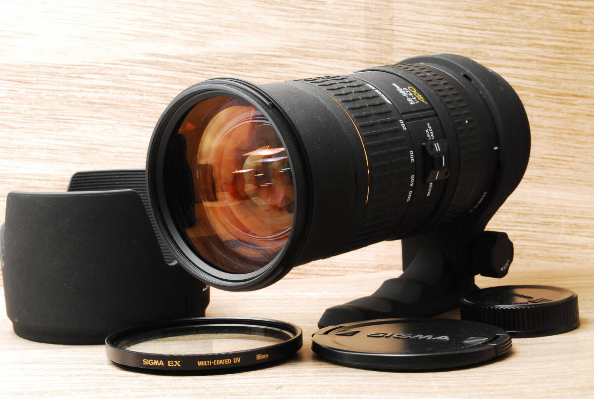 シグマ SIGMA EX 50-500mm F4-6.3 D APO HSM Nikon ニコンF #1261