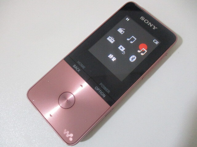 動作確認済 初期化済 難あり SONY ソニー WALKMAN ウォークマン NW-S313 g69