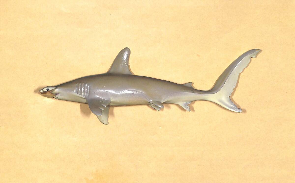 シュモクザメ 海外メーカー Safari Ltd 製品　大きさ ２２ｃｍ　アマゾン購入品