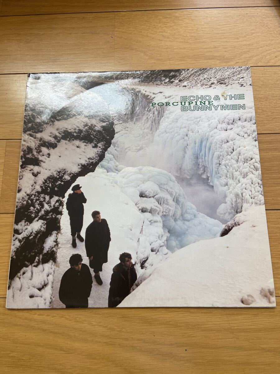 H05258② LP Echo & The Bunnymen Porcupine レコード