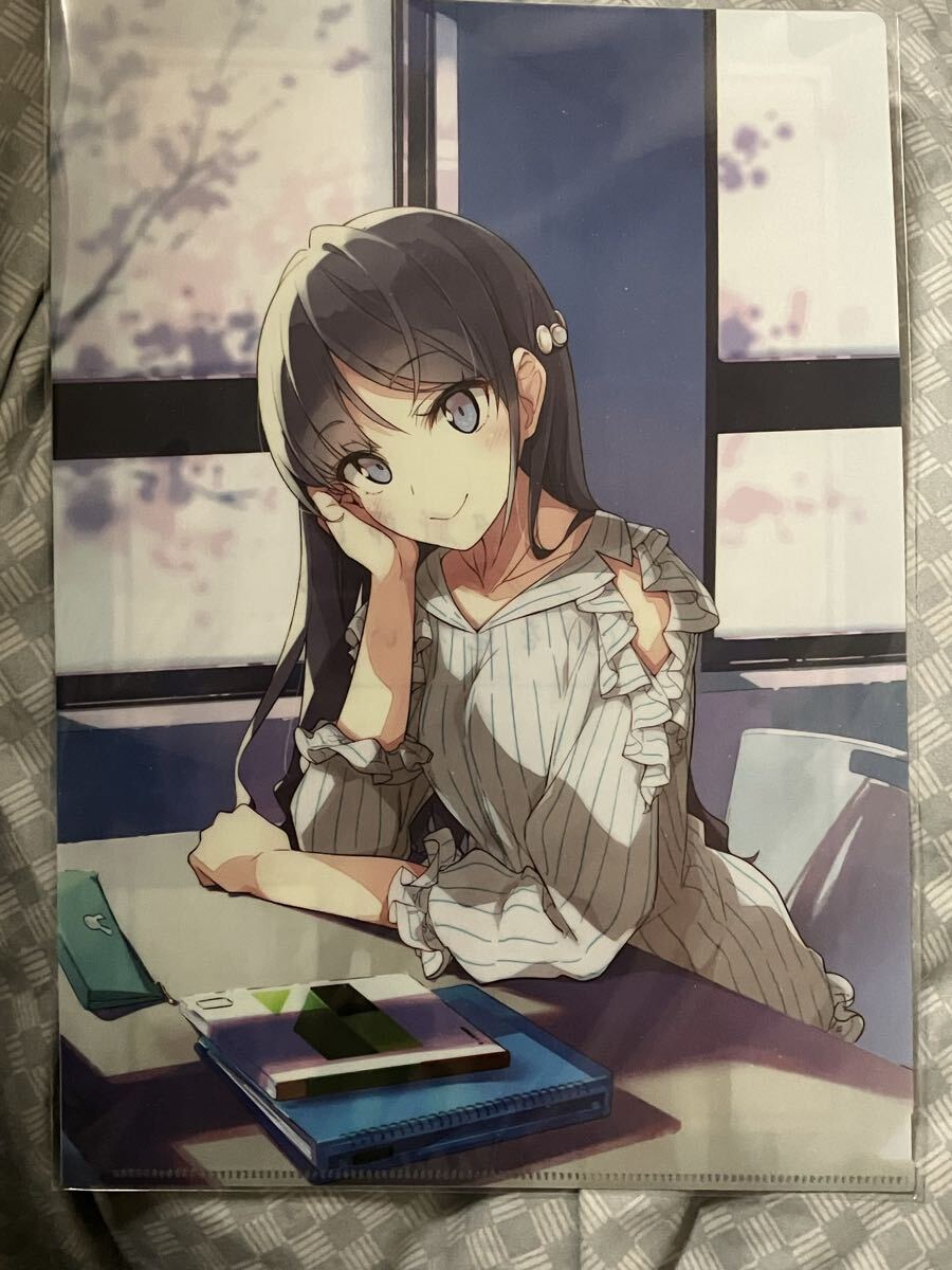 A4 クリアファイル 青春ブタ野郎シリーズ 大学生編制作決定ビジュアル